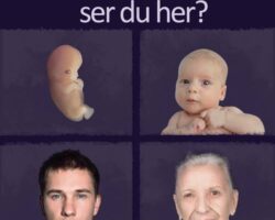 Abortmodstandere kaster sig ind i valgkampen
