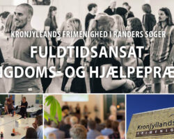 Ungdomspræster søges