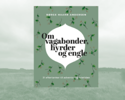 Eftertanker fra nabosognene