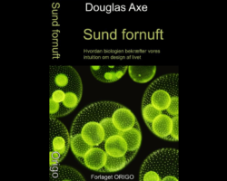Sund fornuft