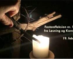 To fasterefleksioner hver uge