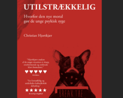 Er det nye moralske oprør tilstrækkeligt?