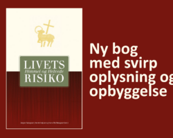 Vigtig bog om himmel og helvede. For læg og lærd