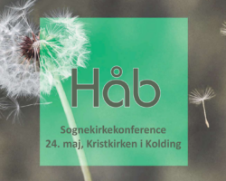 Sognekirkekonference: Hent inspiration til at dele håb